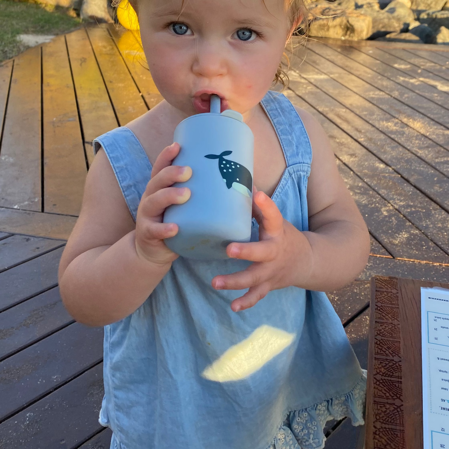 Bowly Moly Unbreakable Sippy Cup